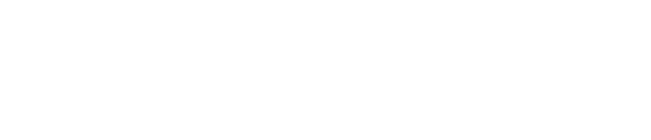noigroup logo
