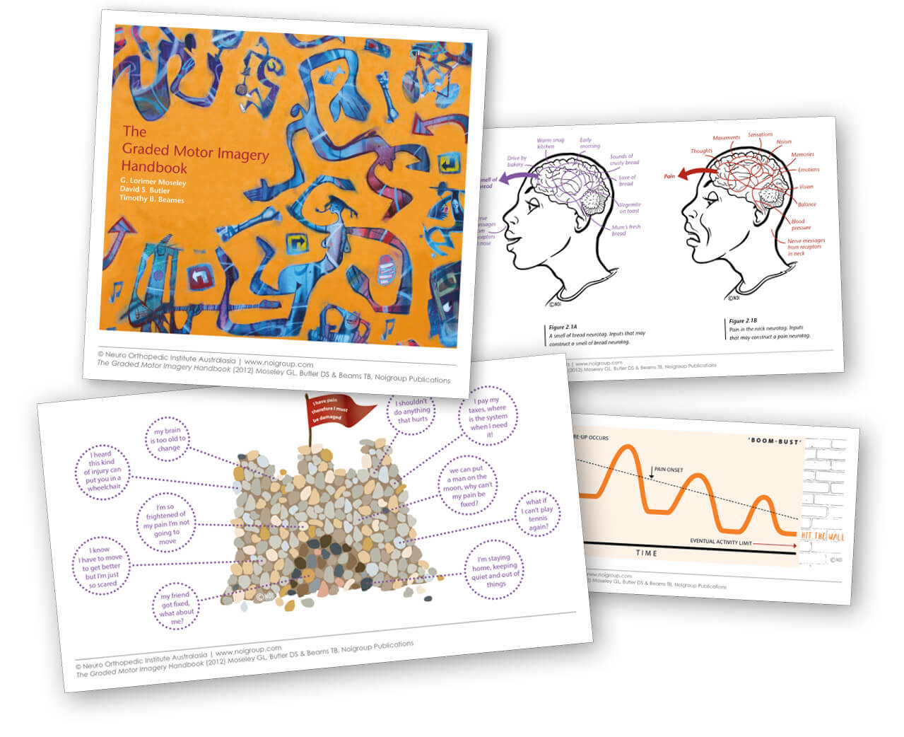 Graded Motor Imagery Media Pack Noigroup