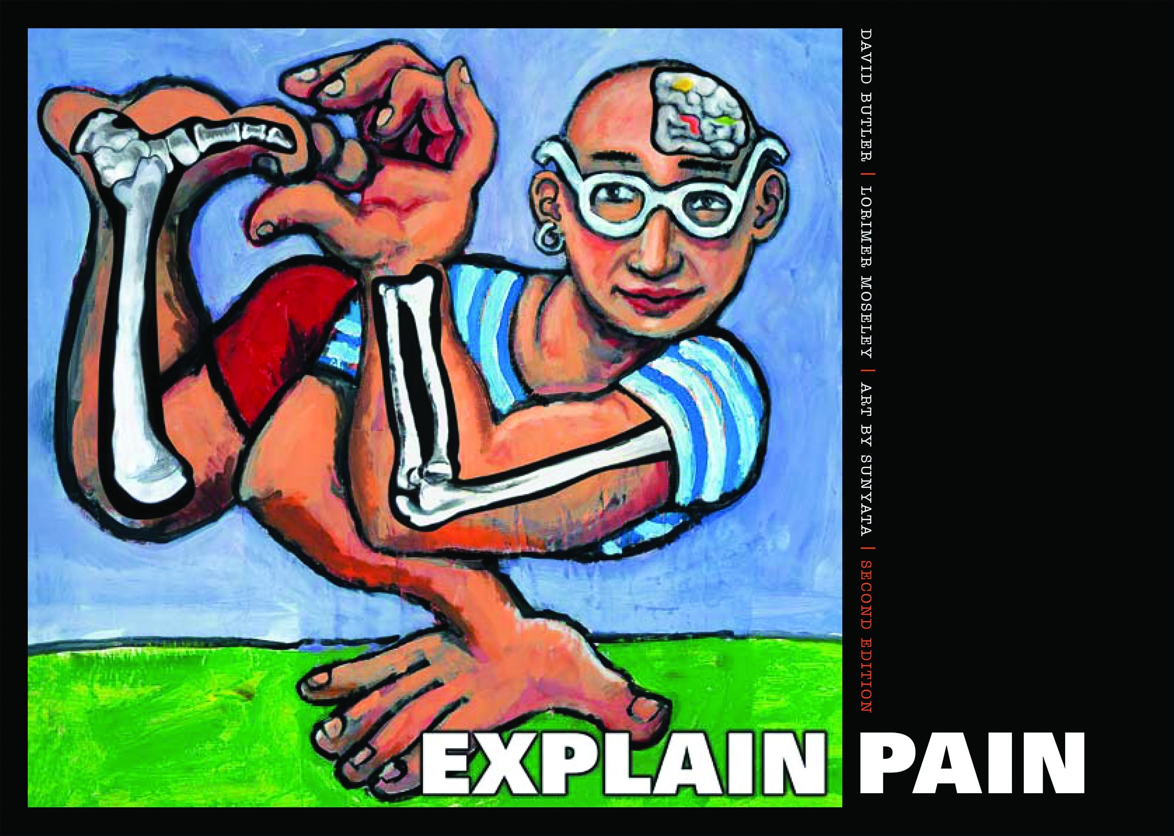 Explain Pain Online, IN Noigroup